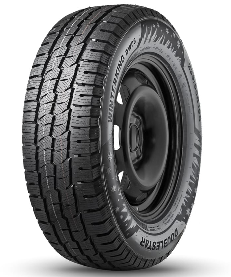 Doublestar DW06